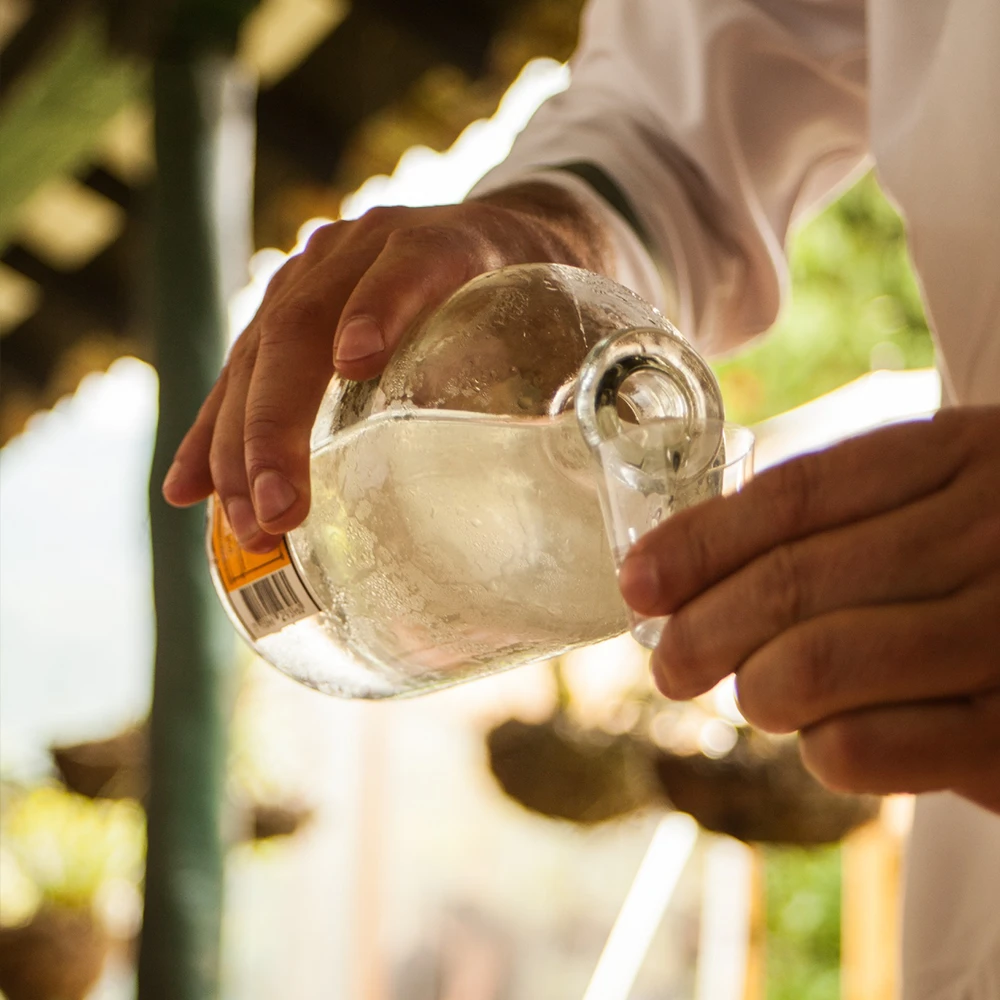 Desquite Tasting